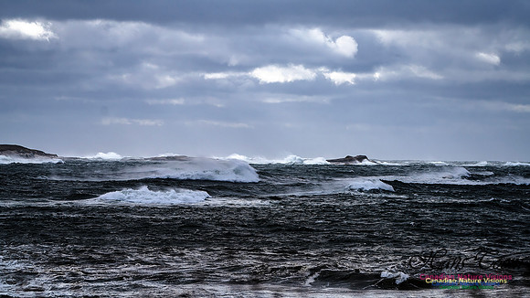 Sambro Island Channel Blustery Day 104