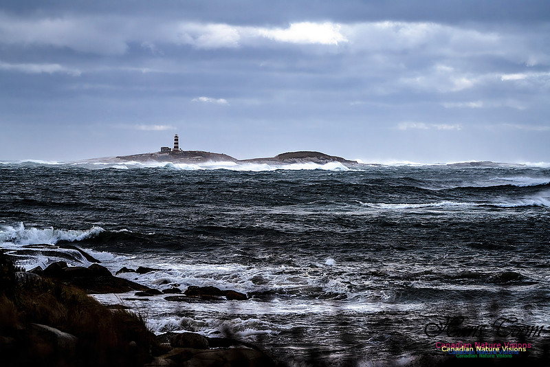 Sambro Island Channel Blustery Day 102