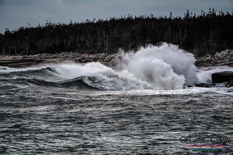 Sambro Island Channel Blustery Day 100