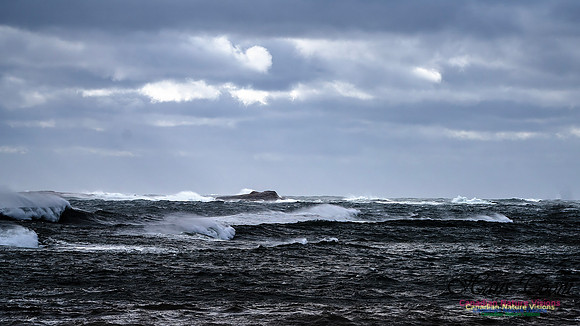 Sambro Island Channel Blustery Day 105