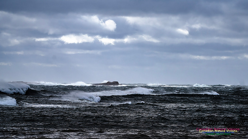 Sambro Island Channel Blustery Day 105