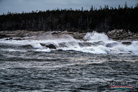 Sambro Island Channel Blustery Day 101