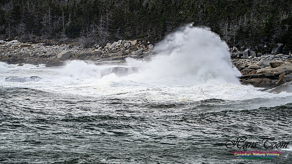 Sambro Island Channel Blustery Day 107