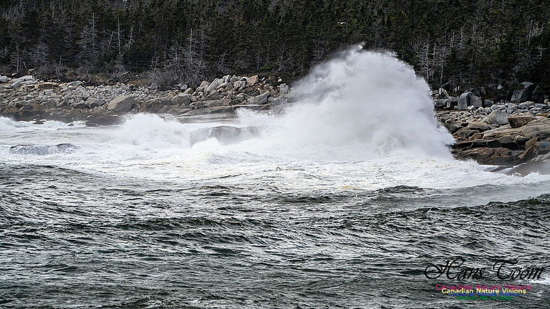 Sambro Island Channel Blustery Day 107