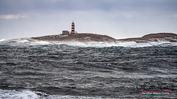 Sambro Island Channel Blustery Day 108
