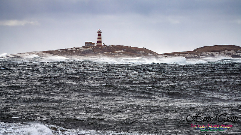 Sambro Island Channel Blustery Day 108