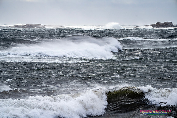 Sambro Island Channel Blustery Day 109