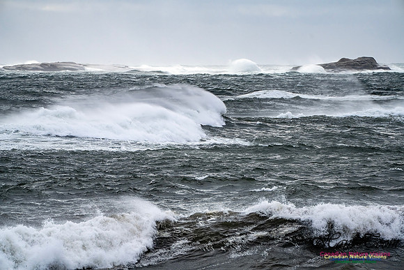 Sambro Island Channel Blustery Day 110