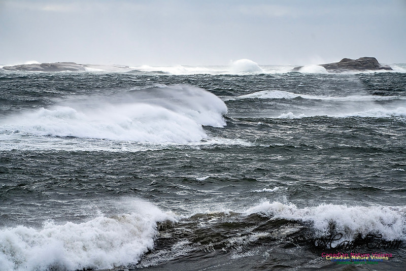 Sambro Island Channel Blustery Day 110