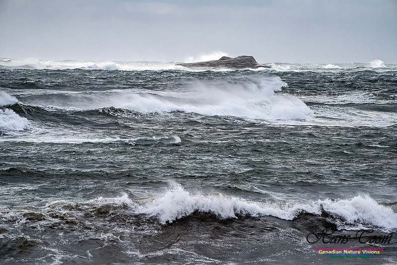 Sambro Island Channel Blustery Day 111