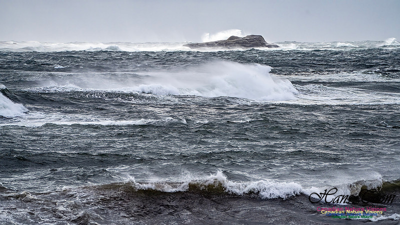 Sambro Island Channel Blustery Day 112