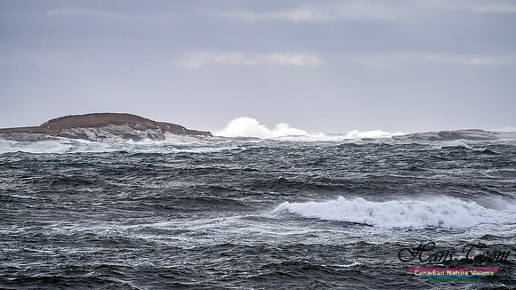 Sambro Island Channel Blustery Day 113