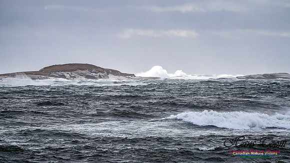 Sambro Island Channel Blustery Day 114