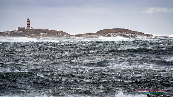 Sambro Island Channel Blustery Day 115
