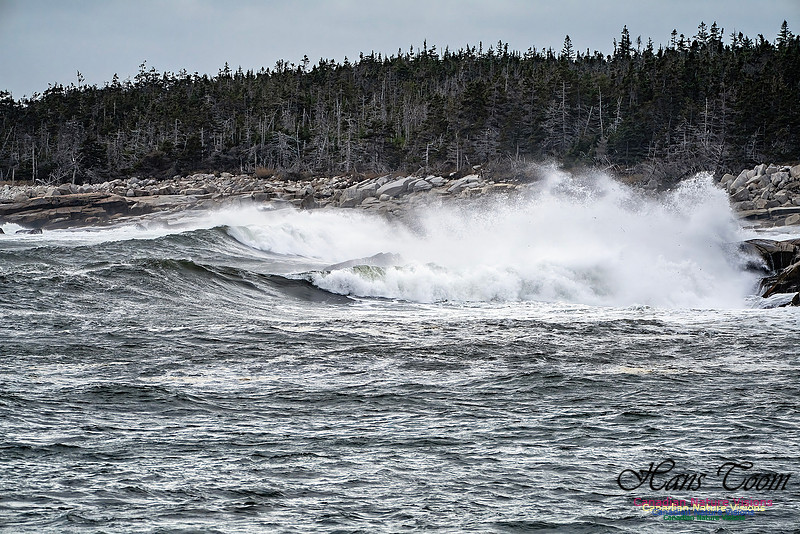 Sambro Island Channel Blustery Day 116