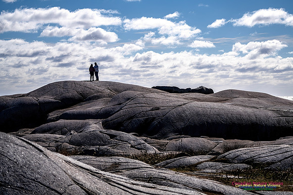 Peggy's Cove Area Blustery Day 100