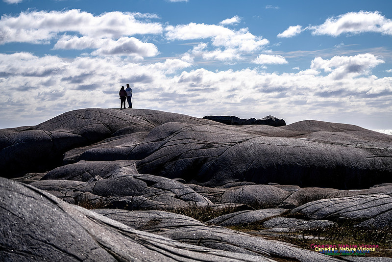 Peggy's Cove Area Blustery Day 100