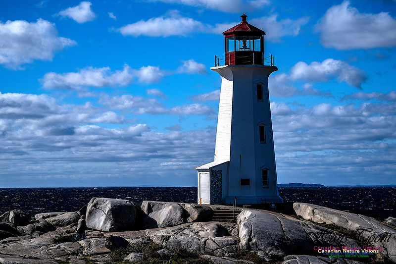 Peggy's Cove Area Blustery Day 101