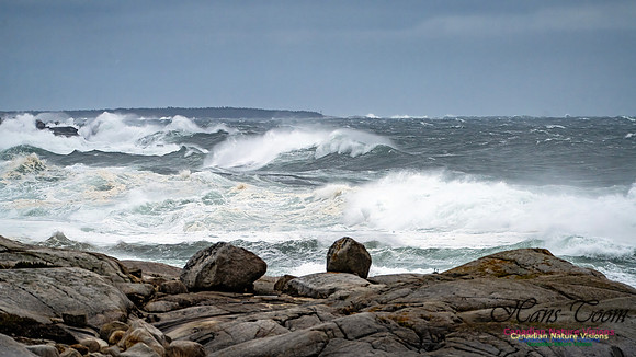 Peggy's Cove Area Blustery Day 104