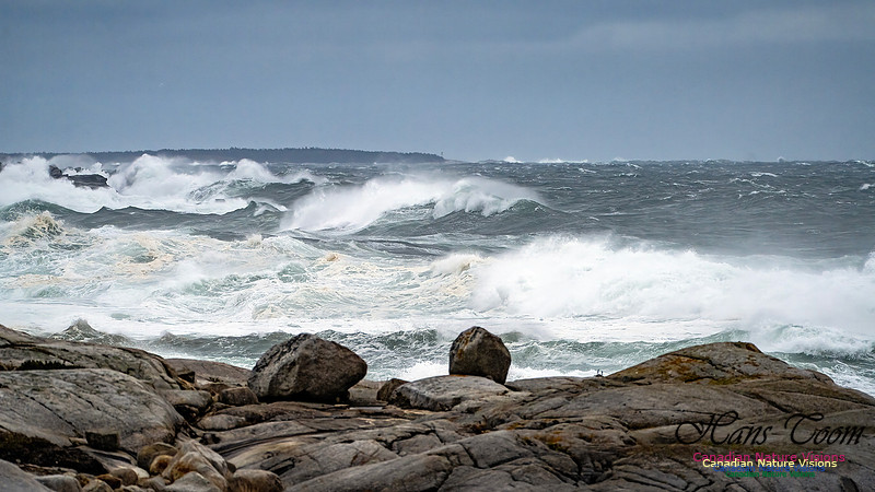 Peggy's Cove Area Blustery Day 104