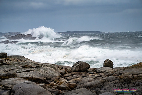 Peggy's Cove Area Blustery Day 103