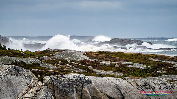Peggy's Cove Area Blustery Day 106
