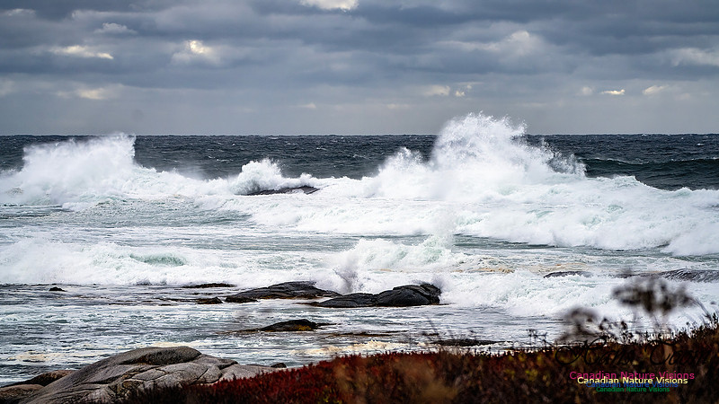 Peggy's Cove Area Blustery Day 108
