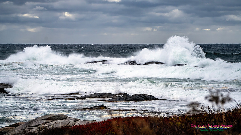 Peggy's Cove Area Blustery Day 109