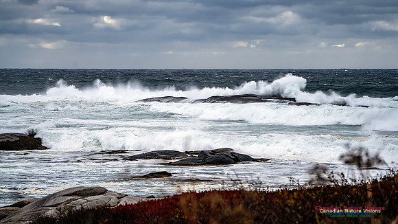 Peggy's Cove Area Blustery Day 110