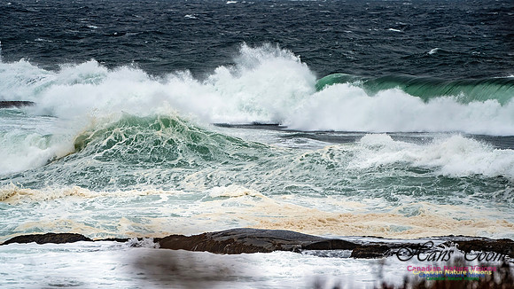Peggy's Cove Area Blustery Day 111