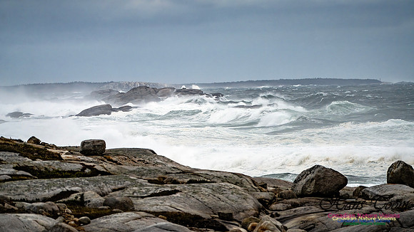Peggy's Cove Area Blustery Day 112