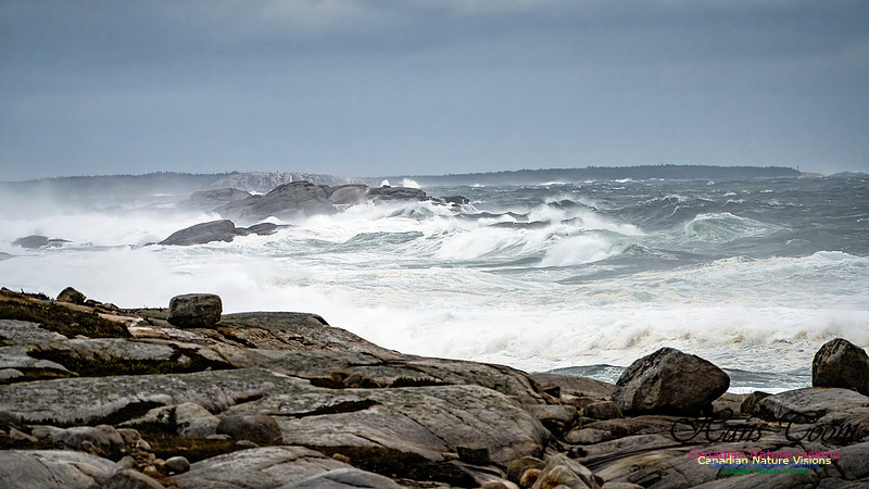 Peggy's Cove Area Blustery Day 112