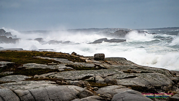 Peggy's Cove Area Blustery Day 113