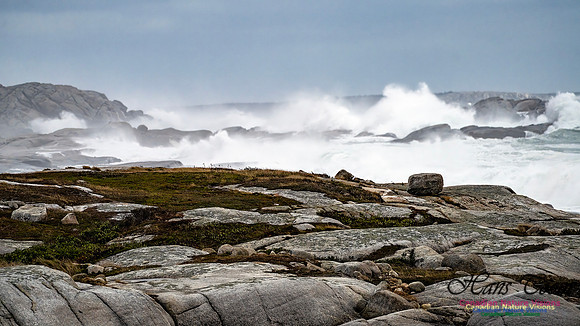 Peggy's Cove Area Blustery Day 114