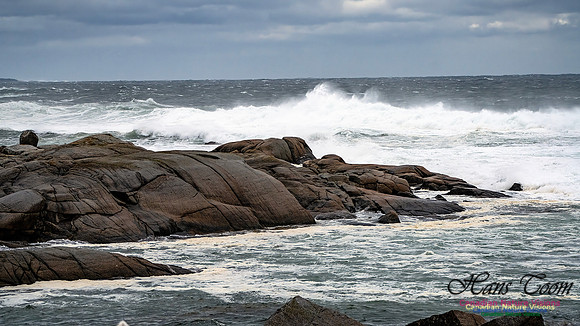 Peggy's Cove Area Blustery Day 116