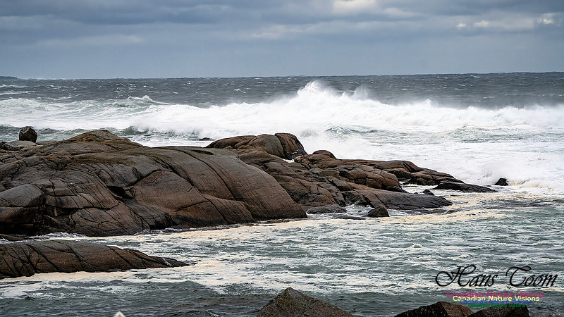 Peggy's Cove Area Blustery Day 116