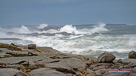 Peggy's Cove Area Blustery Day 117