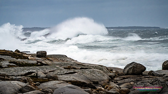 Peggy's Cove Area Blustery Day 119