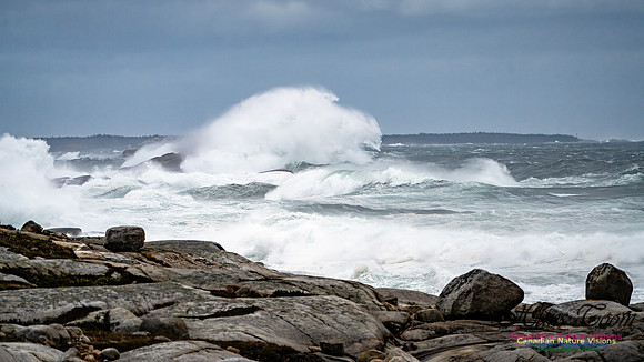 Peggy's Cove Area Blustery Day 120