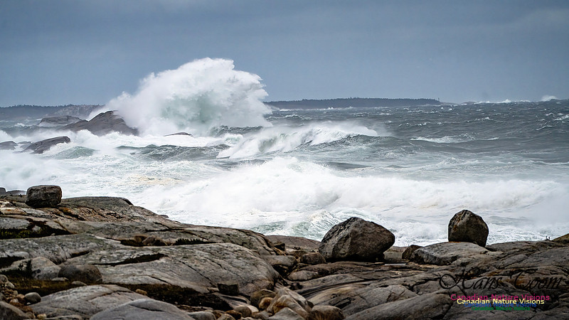 Peggy's Cove Area Blustery Day 121