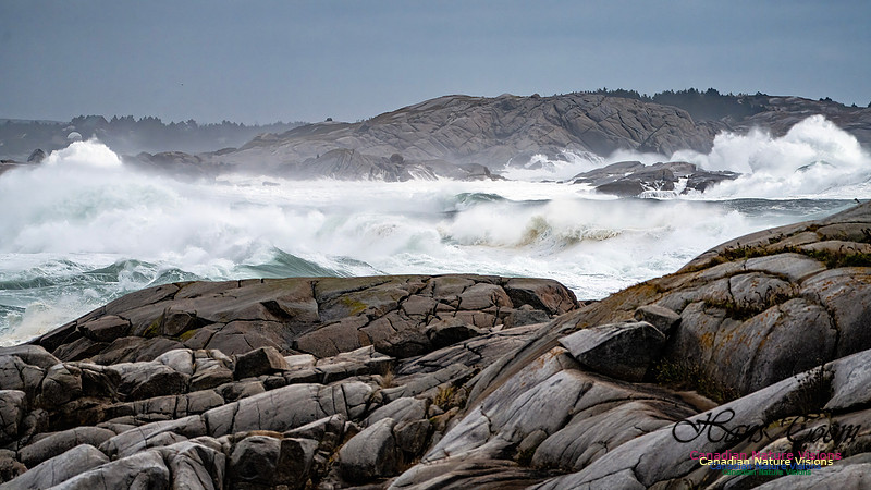 Peggy's Cove Area Blustery Day 123