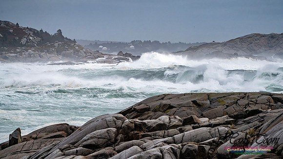 Peggy's Cove Area Blustery Day 125