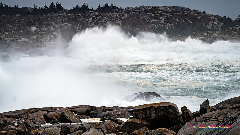 Peggy's Cove Area Blustery Day 126