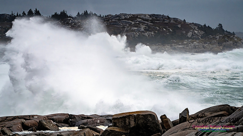 Peggy's Cove Area Blustery Day 127
