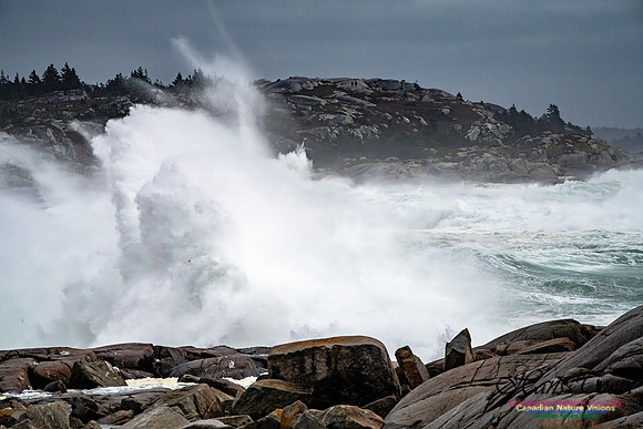 Peggy's Cove Area Blustery Day 128