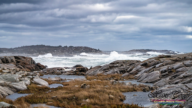 Peggy's Cove Area Blustery Day 130
