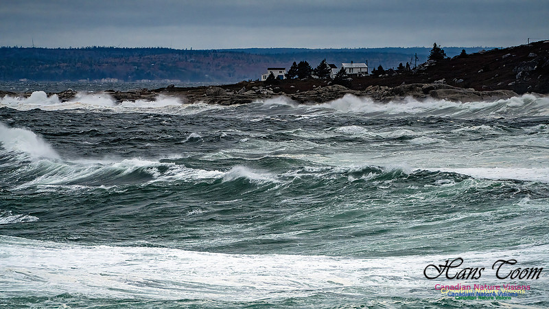 Peggy's Cove Area Blustery Day 131