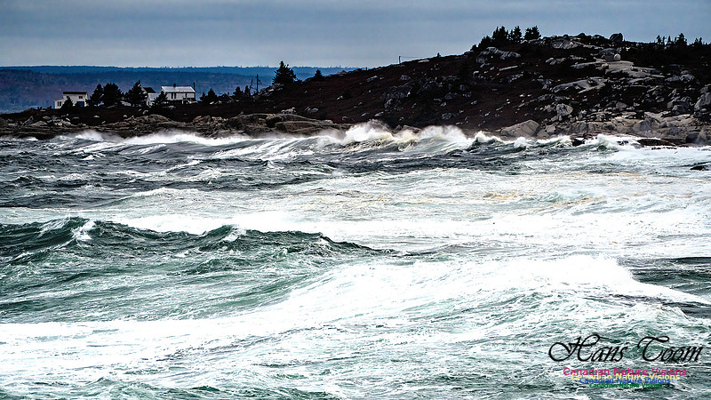Peggy's Cove Area Blustery Day 132
