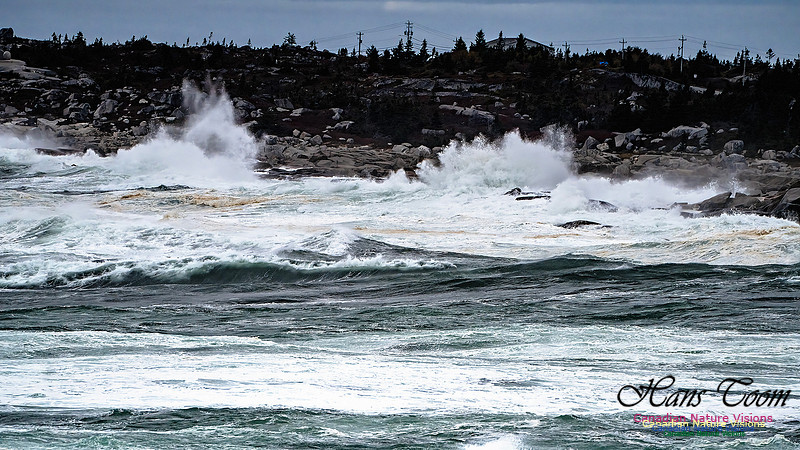 Peggy's Cove Area Blustery Day 133