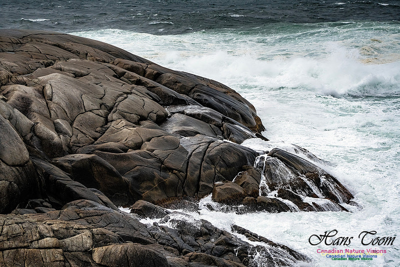 Peggy's Cove Area Blustery Day 134